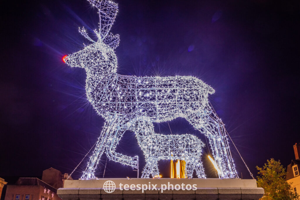 Reindeer Decorations at Stockton Sparkles
